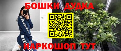 мяу мяу мука Кандалакша