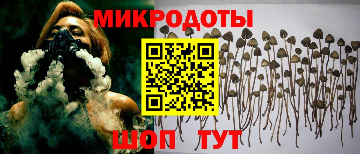 Краснознаменск  Галлюциногенные грибы ЛСД  Вход с VPN 