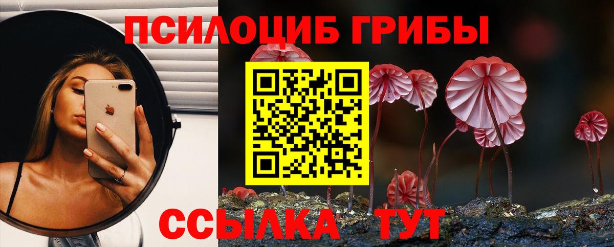 Псилоцибиновые грибы Magic Shrooms Краснознаменск