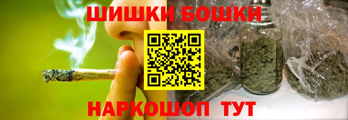Бошки Шишки план Краснознаменск